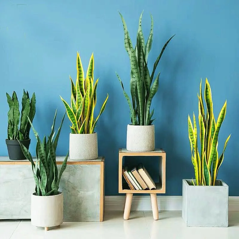 63cm 90cm Fake Outdoor Tree Plastic Leaf Realistic Artifical Snake Plant With Pot