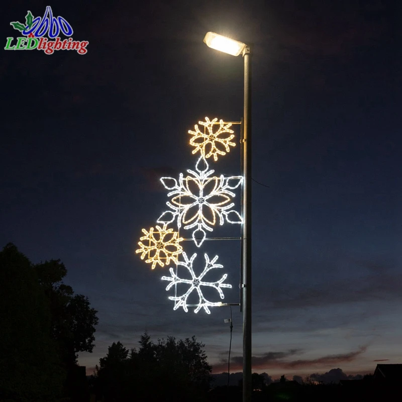 Aluminum frame street light luminaires