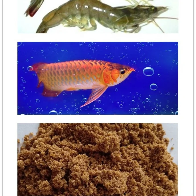 
fish feed or fish feed additive 