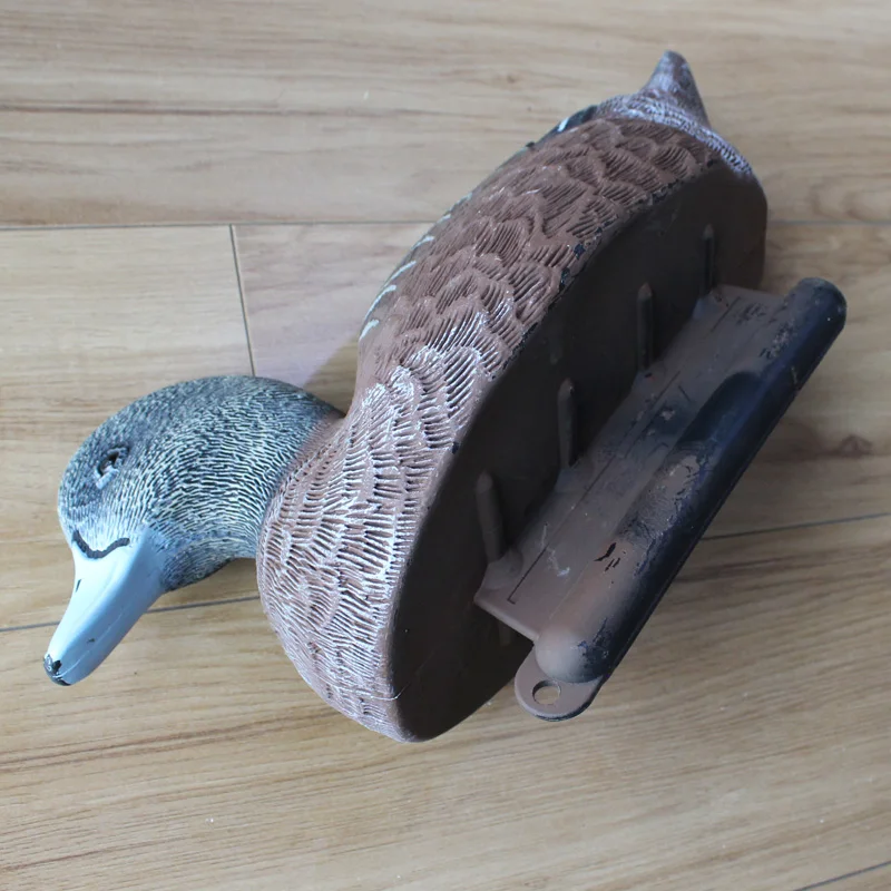 Widgeon duck Widgeon floater Widgeon decoy