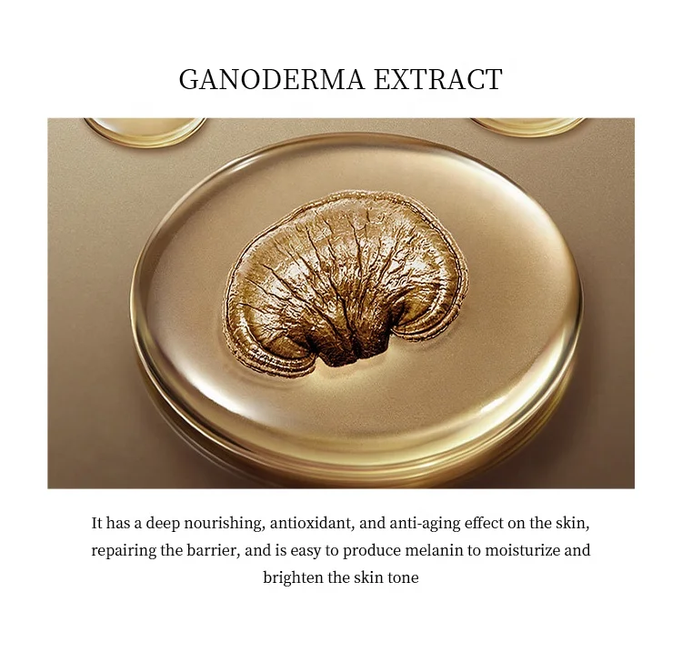Factory Custom Ganoderma Lucidum Moisturizing Serum Calming Hydration Booster Serum Face Repair Serum Liquid Vitamin C Female