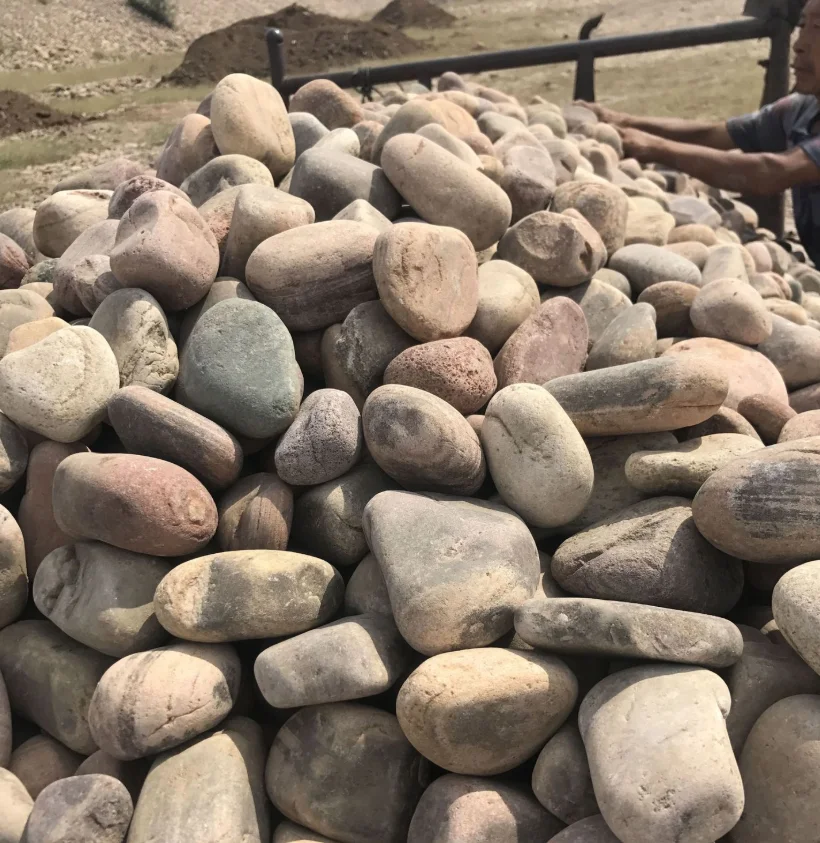 Landscaping big size river rock  pebbles stone