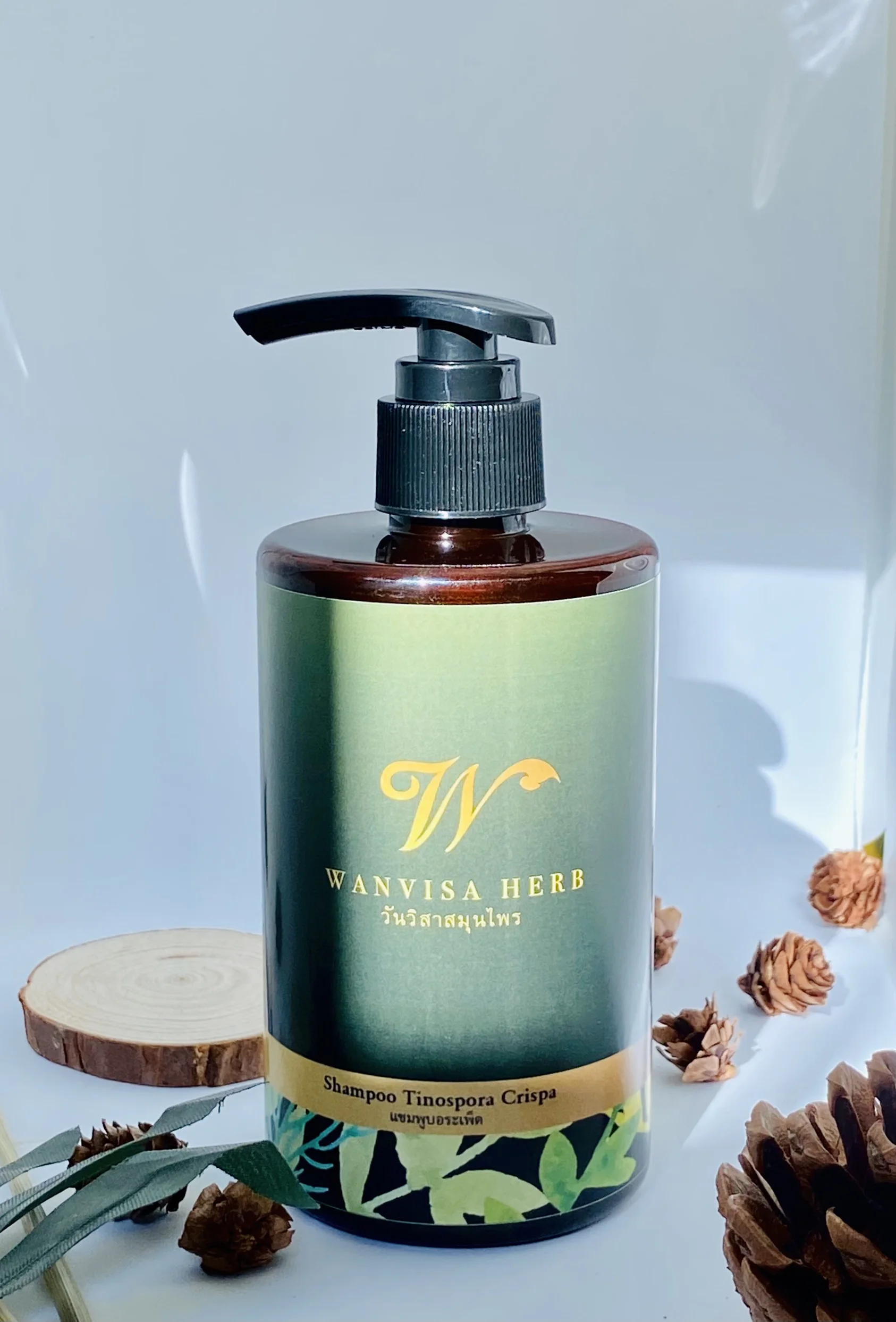 High Quality Premium Wholesale Herbal Tinospora Crispa Extract Anti Hair Loss Shampoo Care in bottle from Thailand