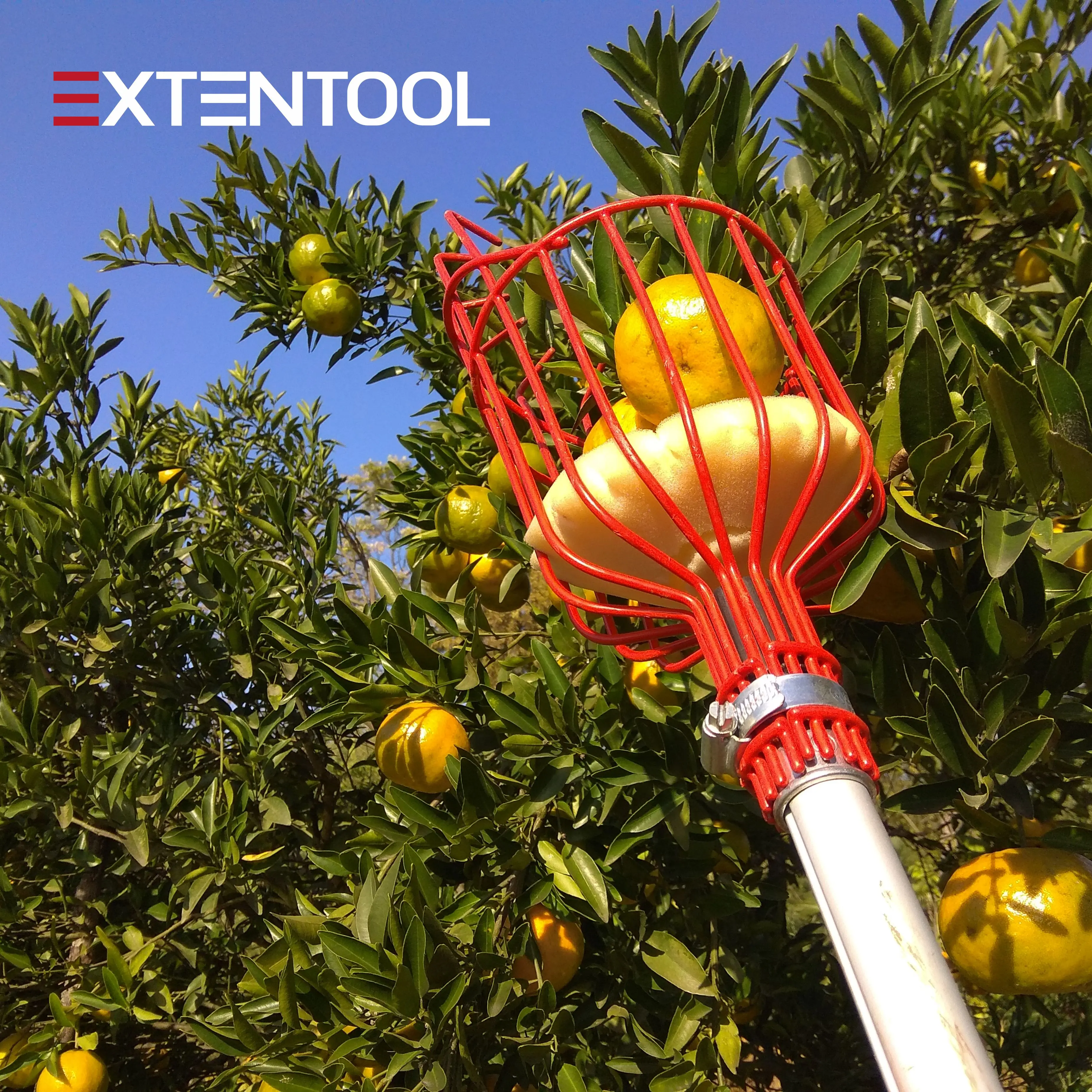 Extentool garden tools durable fruit picker extendable telescopic aluminum pole with strong basket
