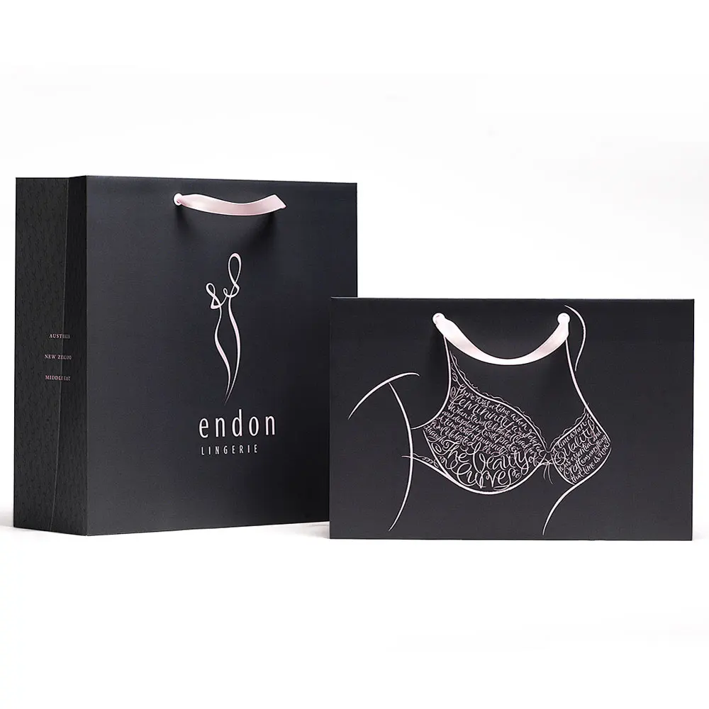 Custom Branded Paper Gift Bag Clothing Apparel Corset Lingerie Shipping Packaging Bags