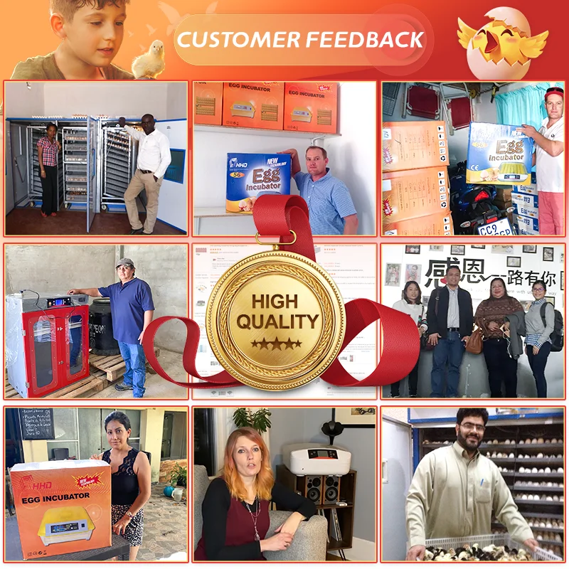 HHD Solar Full Automatic Chicken Egg Incubator And Hatchery Motor Turner Water Feed for 28 30 Eggs Capacity In Cameroon Kenya