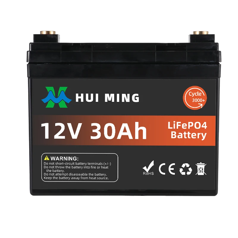 Rechargeable BMS Inverter Battery LiFePO4 12V 30Ah Solar Battery Pack For Yacht/Marine/Solar/Golf cart/UPS