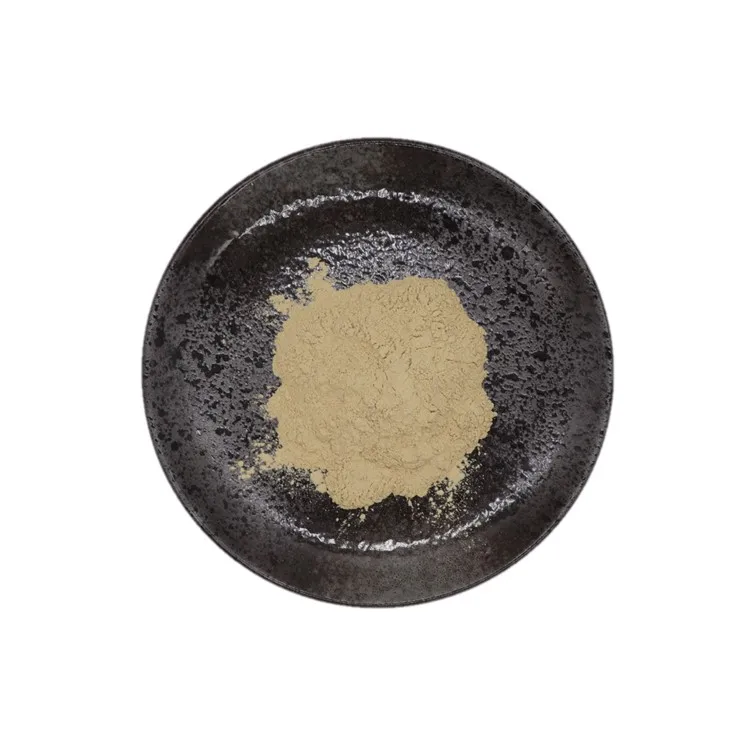 Hesperidin 90%-100% Natural Bitter Orange Peel Extract Citrus Aurantium Extract Powder