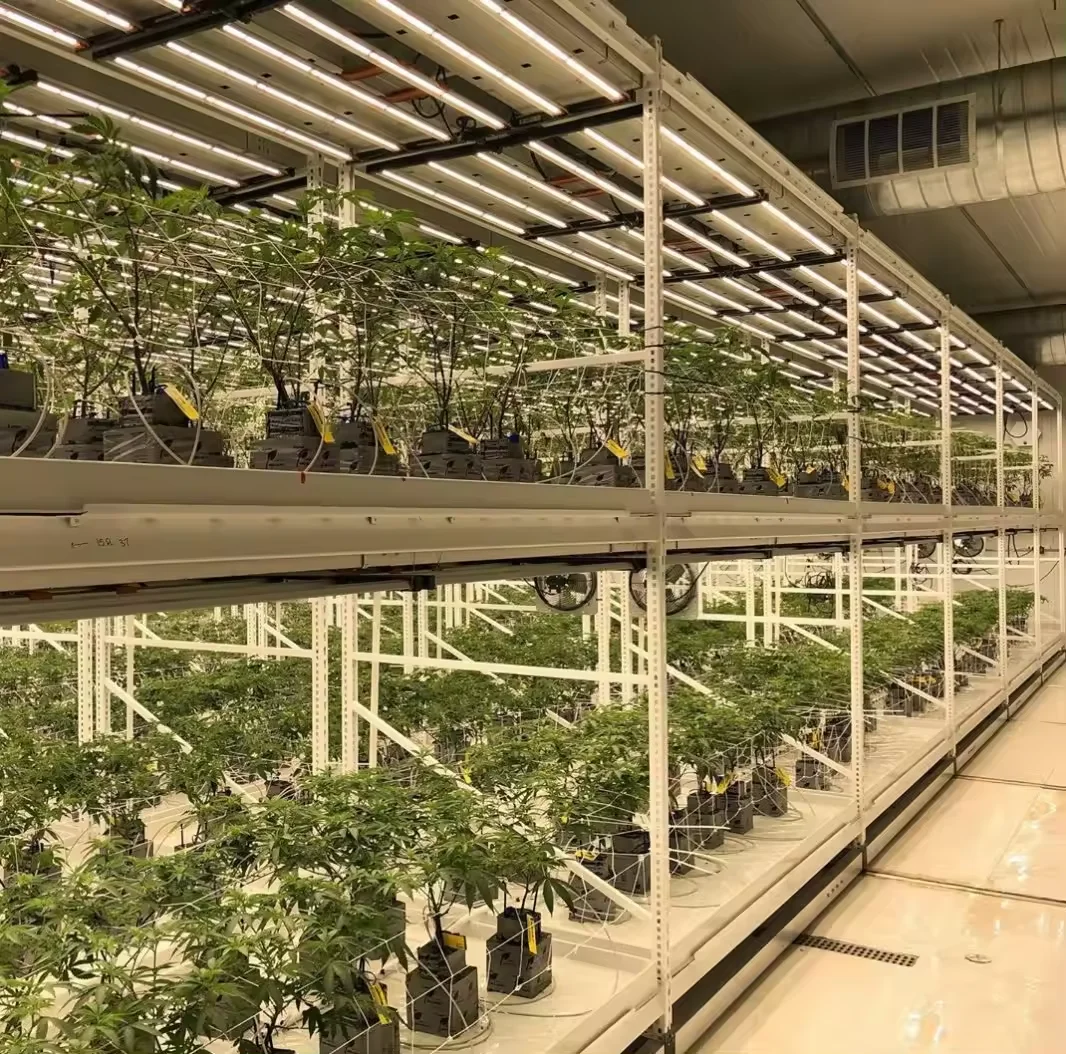 vertical  farm  1