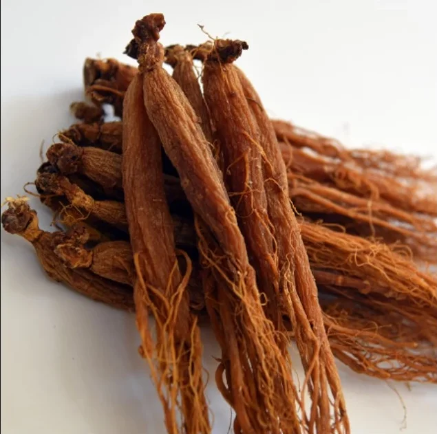 
Hot Selling Chinese Herb Ginseng Dried Red Ginseng Raw Chinese Herbs 