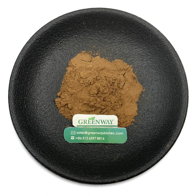 Natural 10:1 Papaya Seed Extract Powder