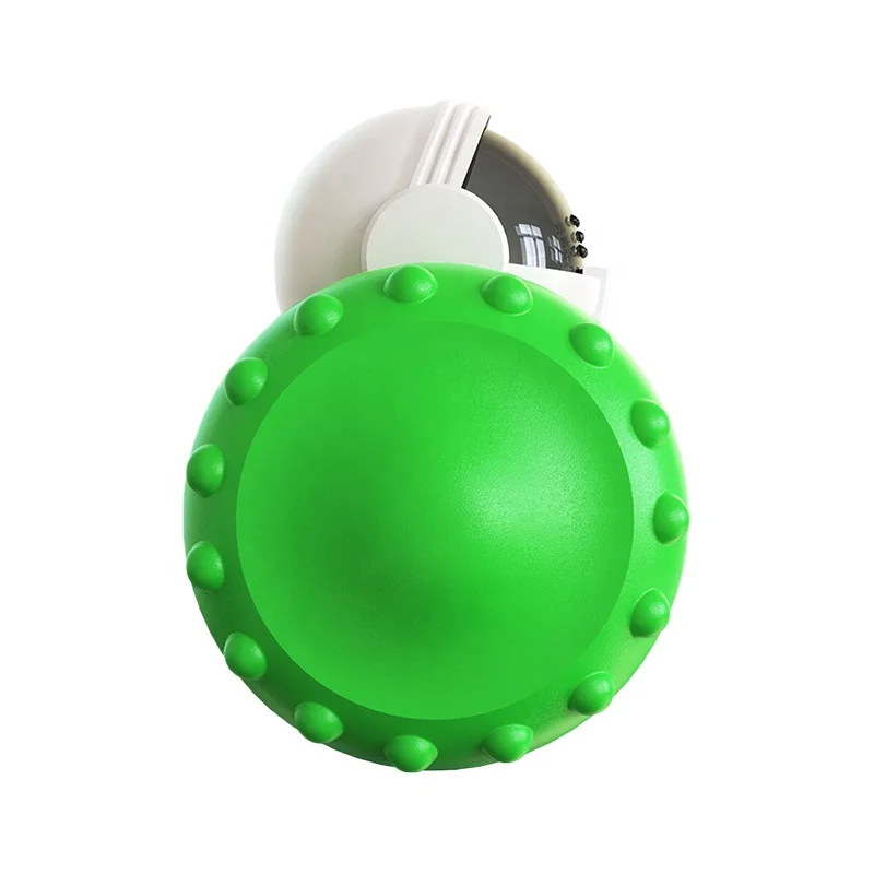 Newest Product Pet Educational Interactive Toy Innovation and Upgrade Balance Car Intelligent Pet Automatic Feeder