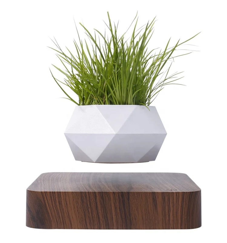 Magnetic floating plants hanging Flower diy levitate floating air levitating flower bonsai pot