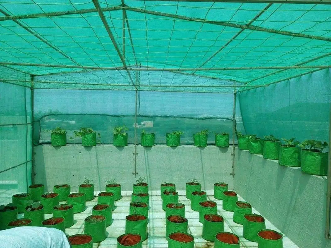 Wholesale Hot Sale Shade Net Netting with UV stabilizer for agriculture Green House