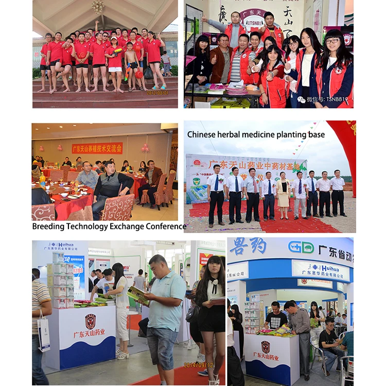 broiler chicken weight gain for nutrition feed additive