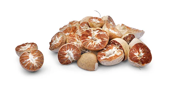 Areca Nut 2023 Ready For Export Great Quality Betel Nuts SIZE 70/75 Best Price Wholesale Price Indonesia Betel Nuts