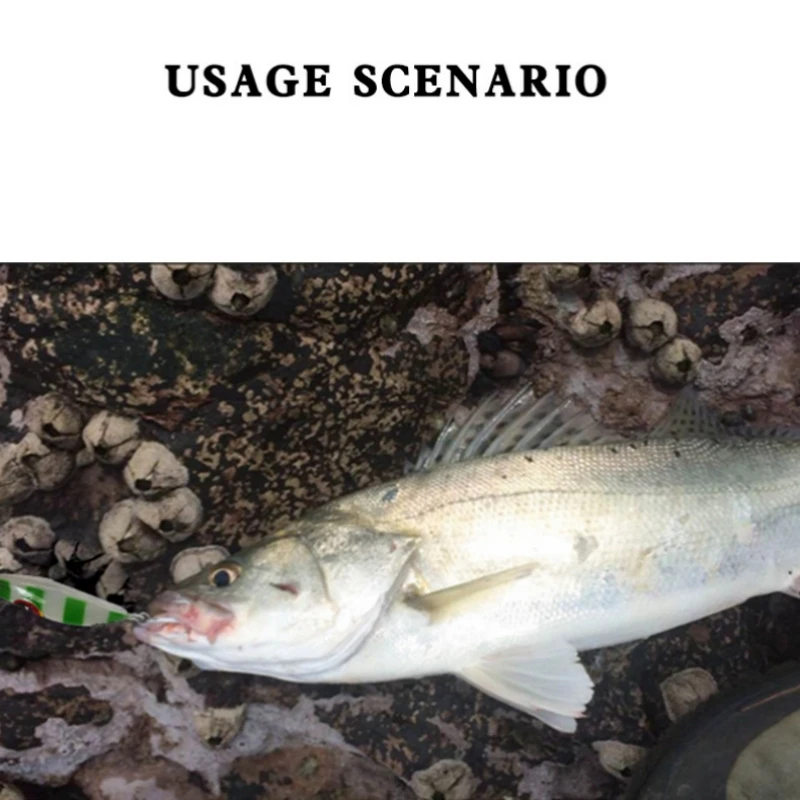 2023 Japan Jig Lure 10g-150g Bass Luminous Bee Fishing Slow Metal Jig Lure Offshore Jigging Lures