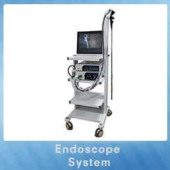 Endoscope System.jpg