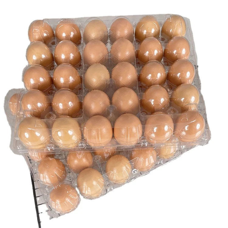 Ферма свежие куриные столовые яйца коричневые и белые свежие коричневые белые столовые яйца/свежие куриные белые яйца для потребления человеком