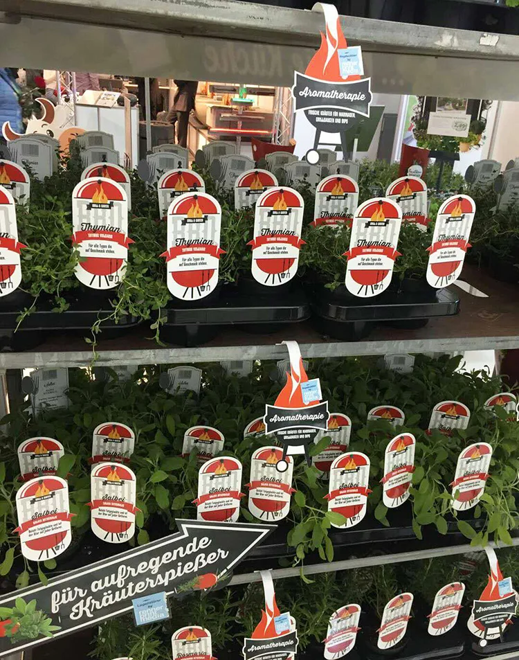 Waterproof Plastic Custom Printed CUOR DI BUE ALBENGA Chili cayenne pepper vegetable Labels for Nursery Wholesale