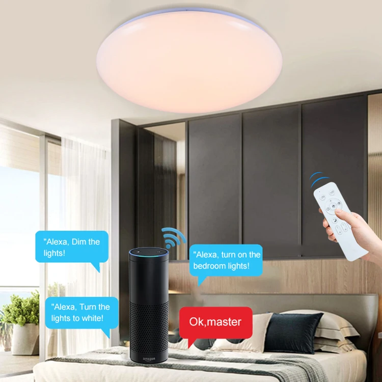 Wholesale China Product Round Interior Surface Mounted 24w 48w Smart LED RGB Ceiling Light