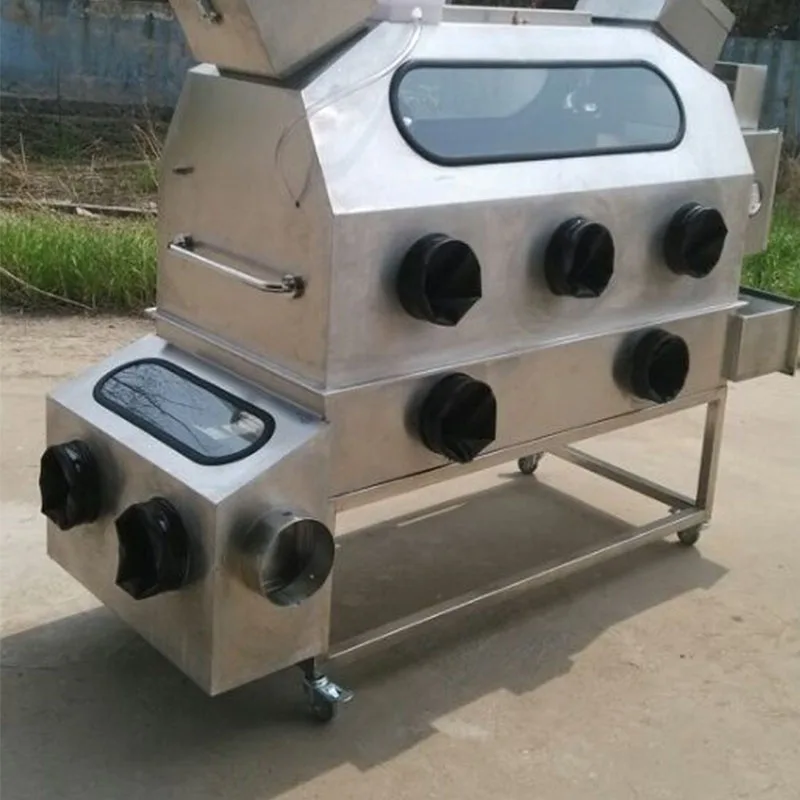 BIOBASE Chicken Isolator 220V Chicken Isolator for Laboratory