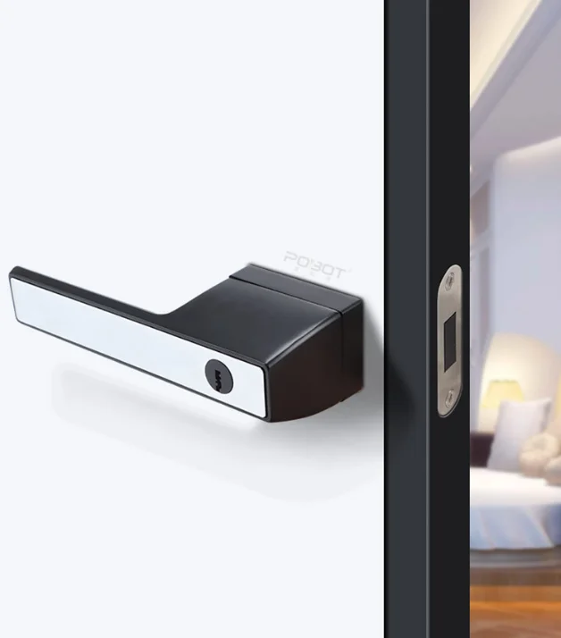 Fancy  Ecological door lock Matt Black White lever face Interior Key door Lever Lock