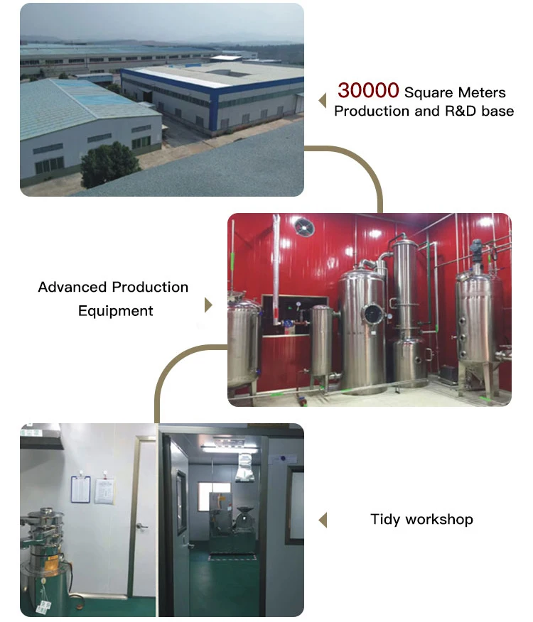 vitamin and mineral premix for dairy cattle