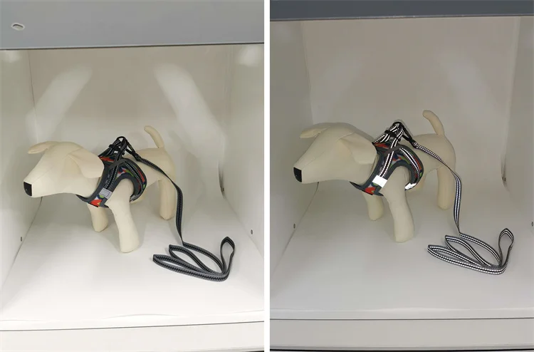 Neoprene Mesh Set Padded Strap Leads Dog Harness Vest Collar Set With Reflective Piping For Dogs