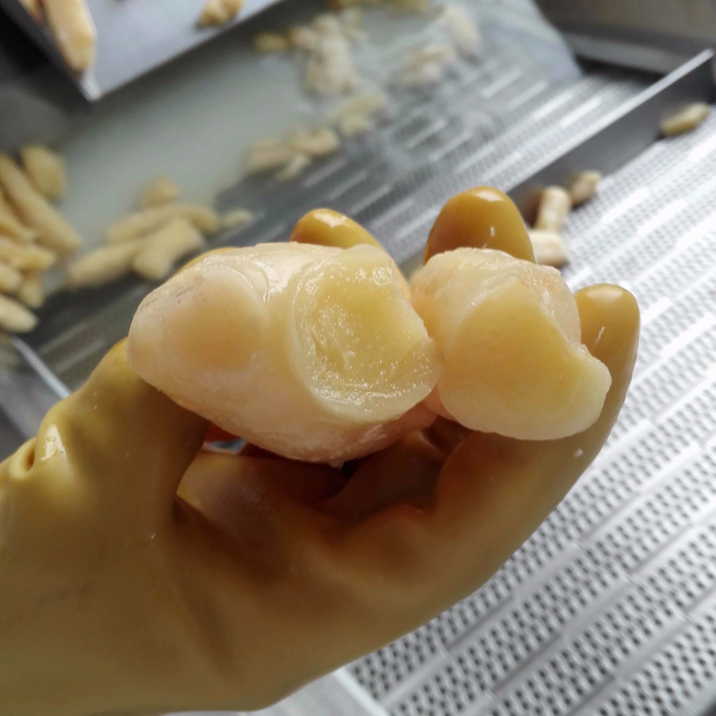 
pickled sushi ginger for Japanese restaurant 