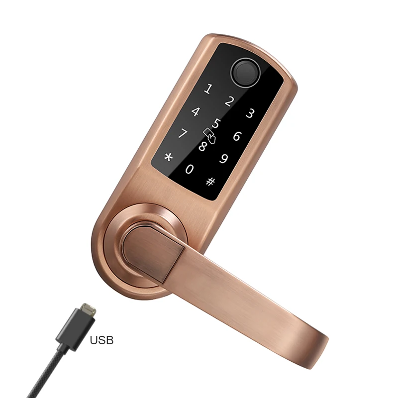 2022 New Arrival 5-in-1 Keyless Entry Door Locks Fingerprint Lock with Keypads and Voice Guide for Home