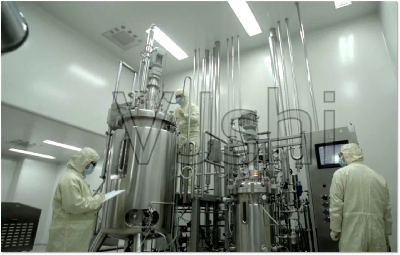 Hot Selling Red Dragon Fruit Powder Pitaya Fruit Powder Pink Pitaya Powder Extract