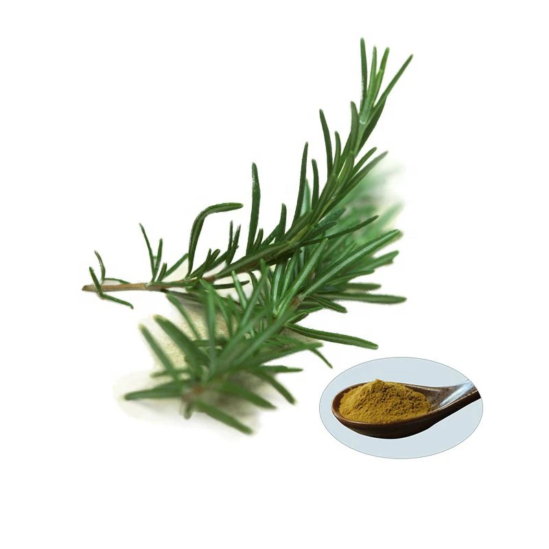 Rosemary Leaf Extract powder/liquid 15% Carnosic Acid for beef/meat product antioxidant