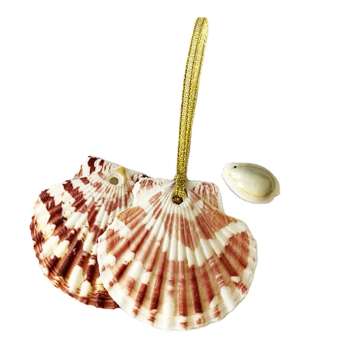 3.5-6 cm Natural Seashell Scallop Shell Marine Ocean Fish Tank Landscape Decoration Mediterranean Style Home Decor