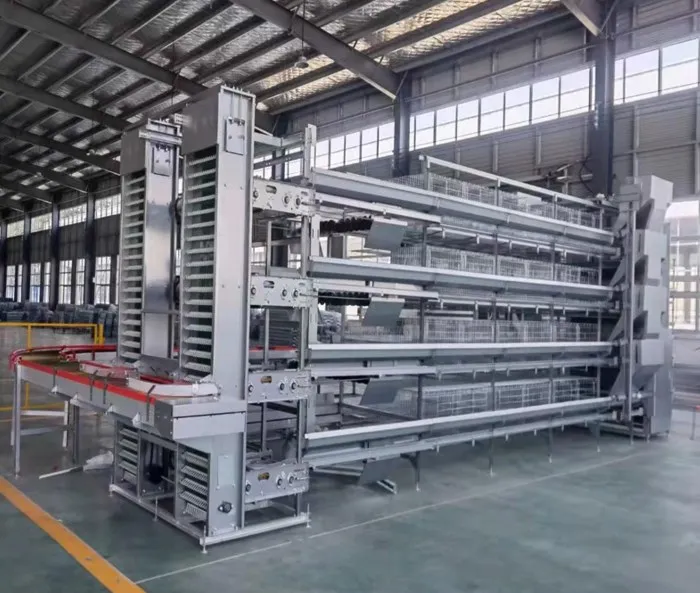 Automatic Galvanized Farm Equipment Livestock Poultry Broiler Chicken Battery Laying Cage with Manure System