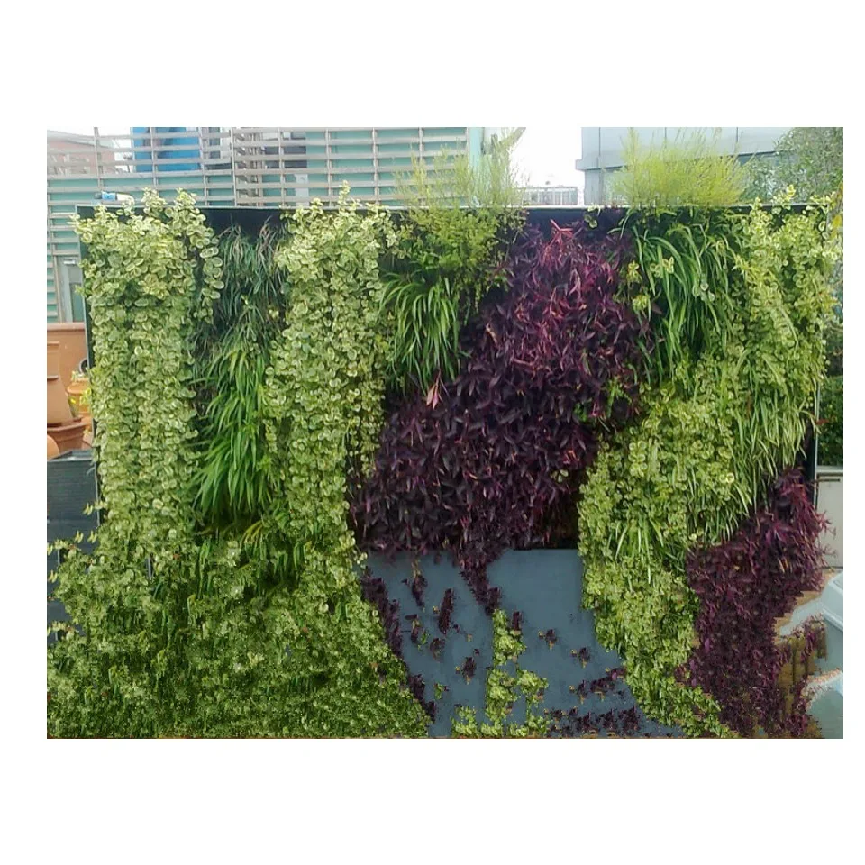 good quality    decorative boxwood panel used on the wall vertical grass plant for garden