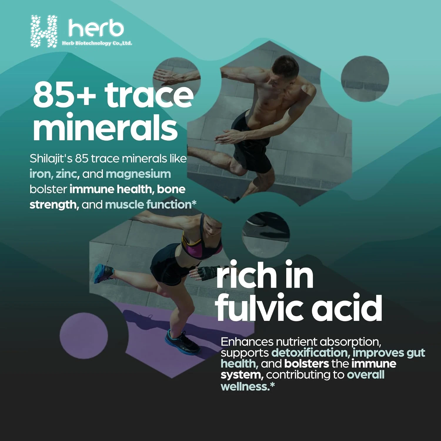 OEM Private label 10000 mg Nature himalayan shilajit gold capsules