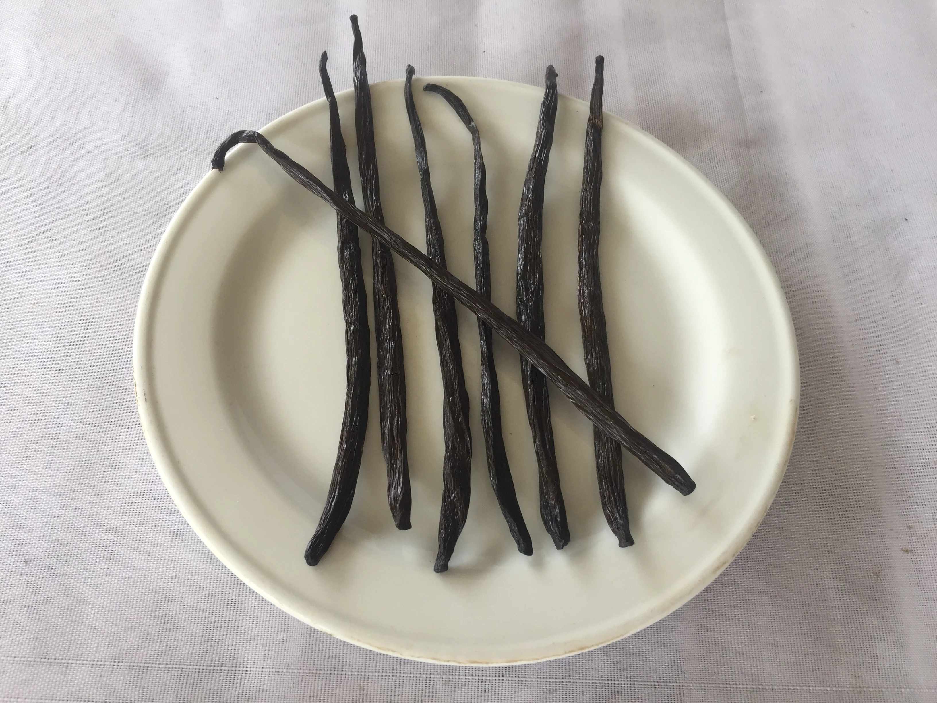 RENDAH PLANIFOLIA GOURMET 18-19CM VANILLA BEANS Super Premium Quality Indonesia Hot Selling Bourbon Vanilla Pods with Best Price