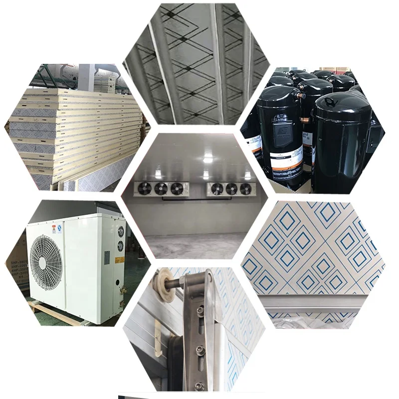 The Best Equipment From Freezer cold room storage Iqf Freezer Machine