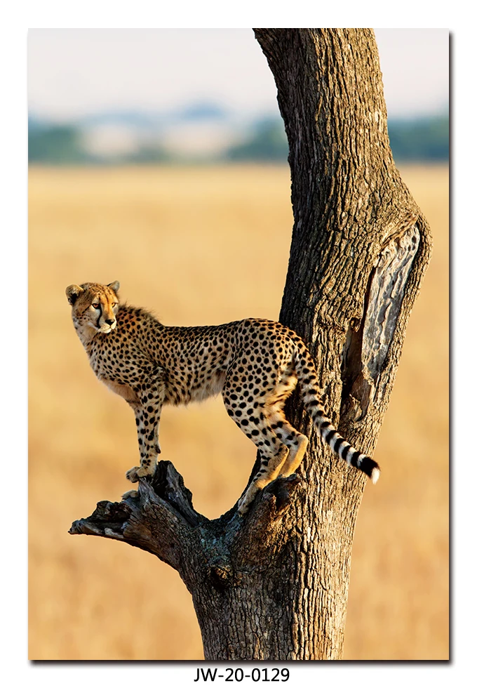 HD Modern Realistic Animal Acrylic Canvas Wall Art Decorative Painting Office Living Room Digital Painting