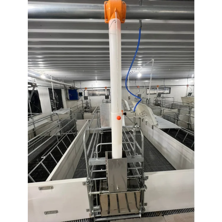 Farrowing Crate Pig Cheap Price 2-Door Design Animal Husbandry Pig Farming Equipment Custom Size From Vietnam Manufacturer