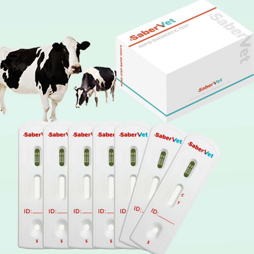 Hot Selling Cattle BVDV Ab Rapid Diagnostic Bovine Viral Diarrhea Virus Antibody Rapid Test