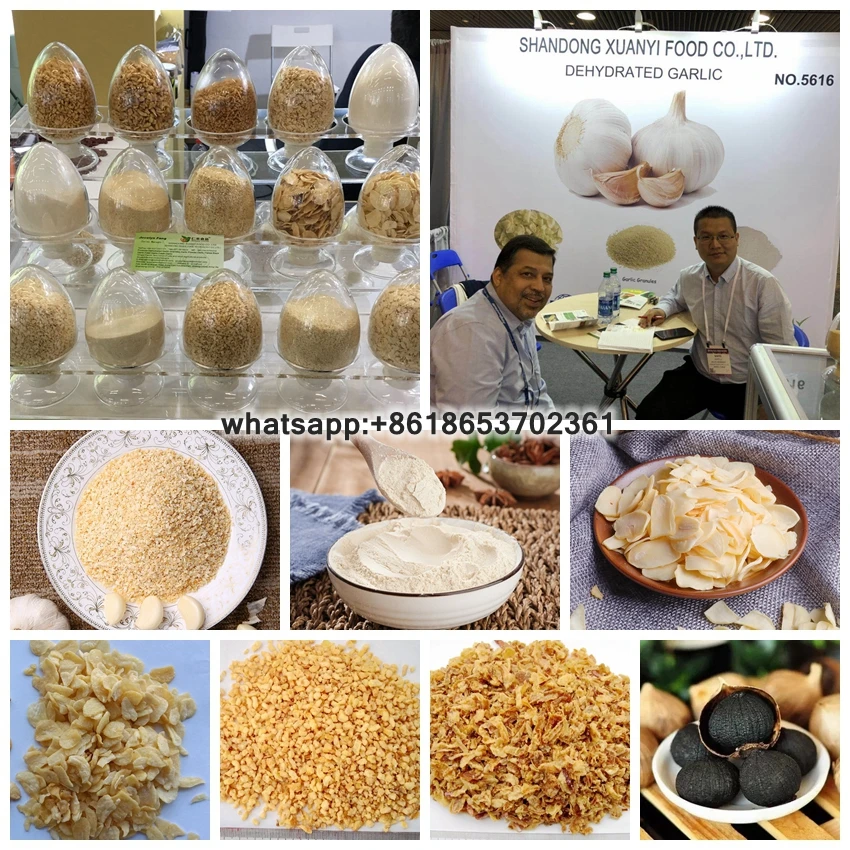 Dehydrated Onion Granules (8-16 16-26 26-40 40-80 Mesh)