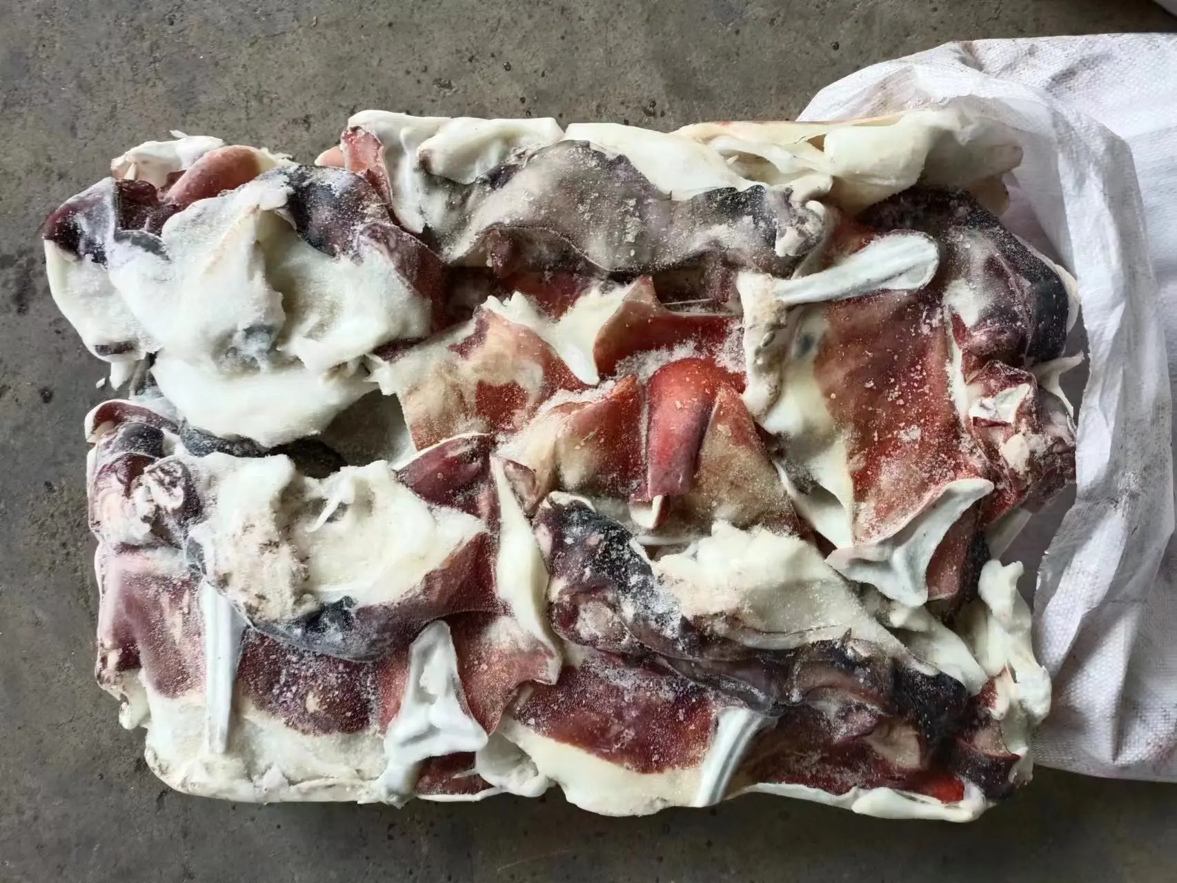 Delicious Chinese Food Dosidicus Gigas Wholesale Giant Squid neck whole cleaned gigas squid calamari neck China seafood supplier