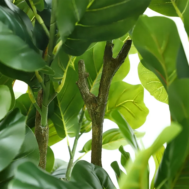 Gourd Leaves Plants Selling Bonsai Online Natural, Artificial Plant With Pots