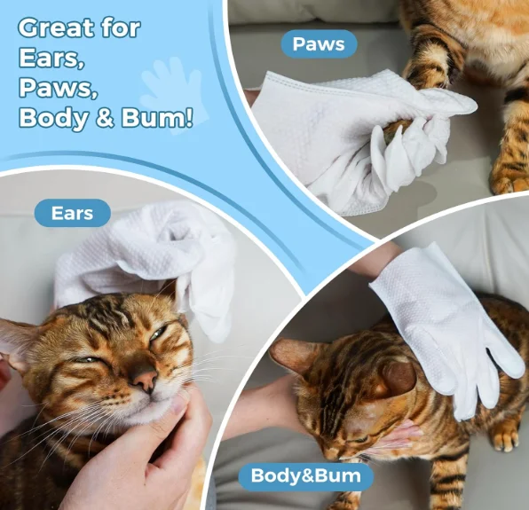 Factory Wholesale Custom Logo Disposable Non-woven Fabric Cat Cleaning Gloves Dog Pet Gloves Wet Wipes