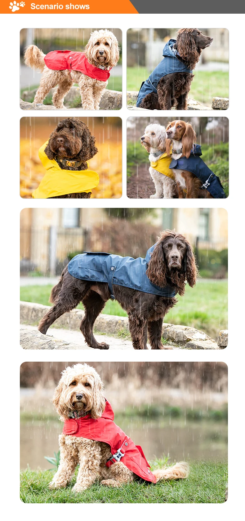 Dog Raincoats.jpg