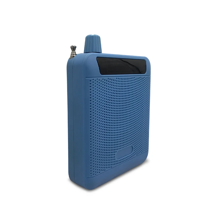 Лучший подарок, красивый Usb TF карта, mp3-плеер, Fm-радио, портативный Радиоприемник