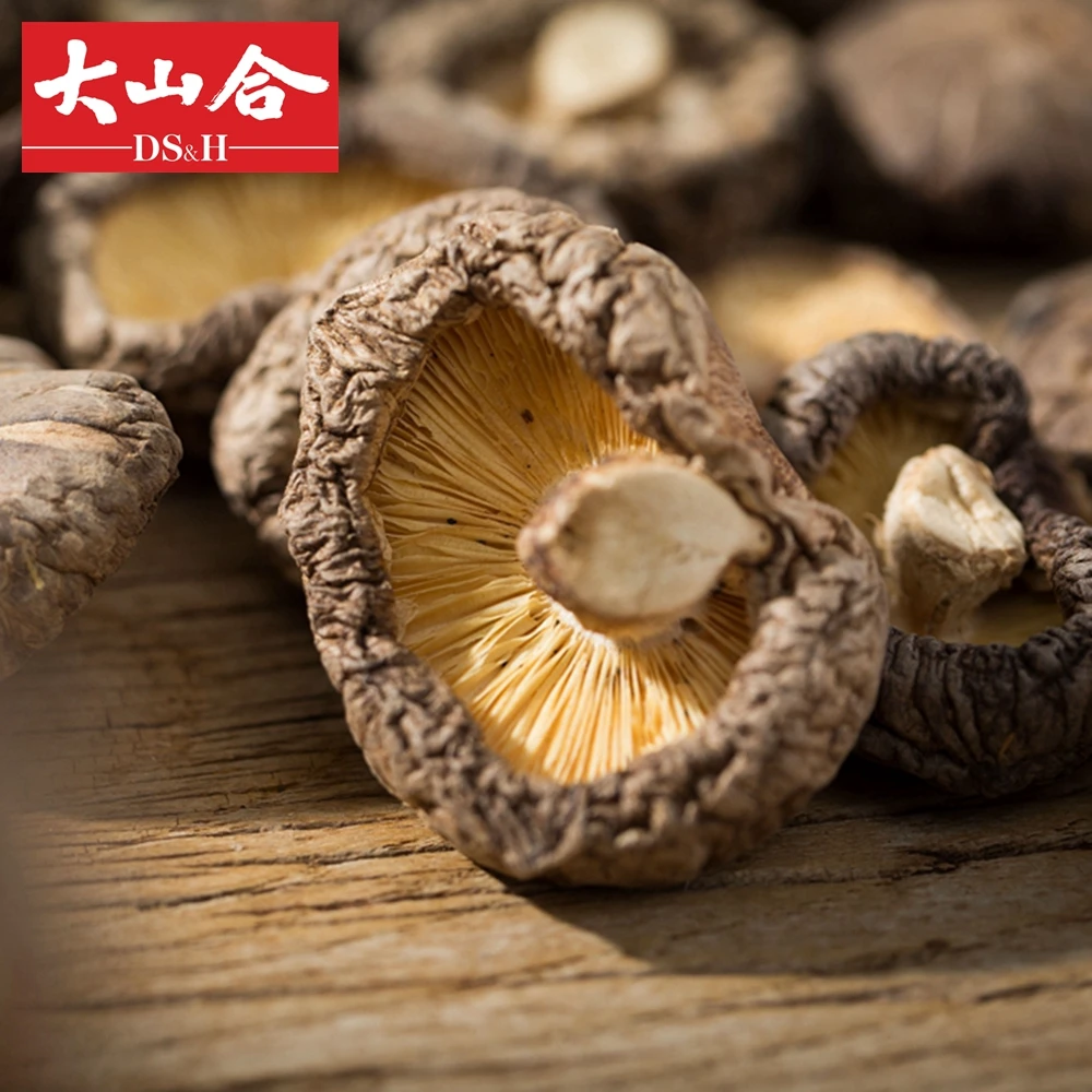 Wholesale dried shiitake dehydrated mushroom price