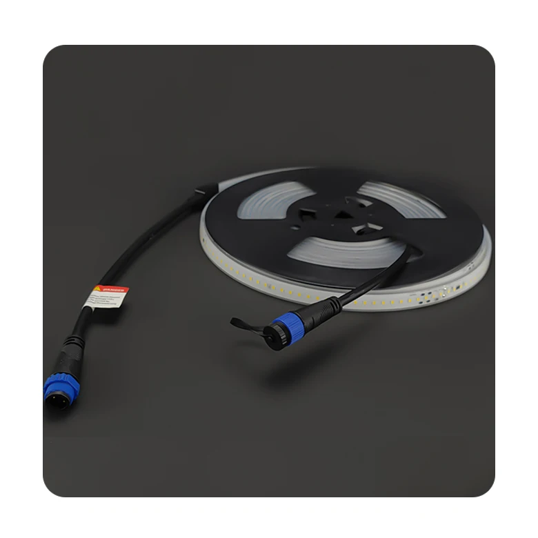 CIMA Strong flexible led strip light for outside outdoor super bright smd 2835 24v 48v 110v 220v silicone cover ip68 waterproof